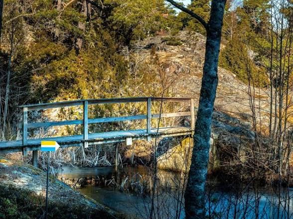 Wooden footbridge on a forest hiking trail on Ornö in the Stockholm archipelago