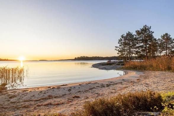Sun setting over a calm bay beside a sandy shore and pines on Ornö, Stockholm archipelago