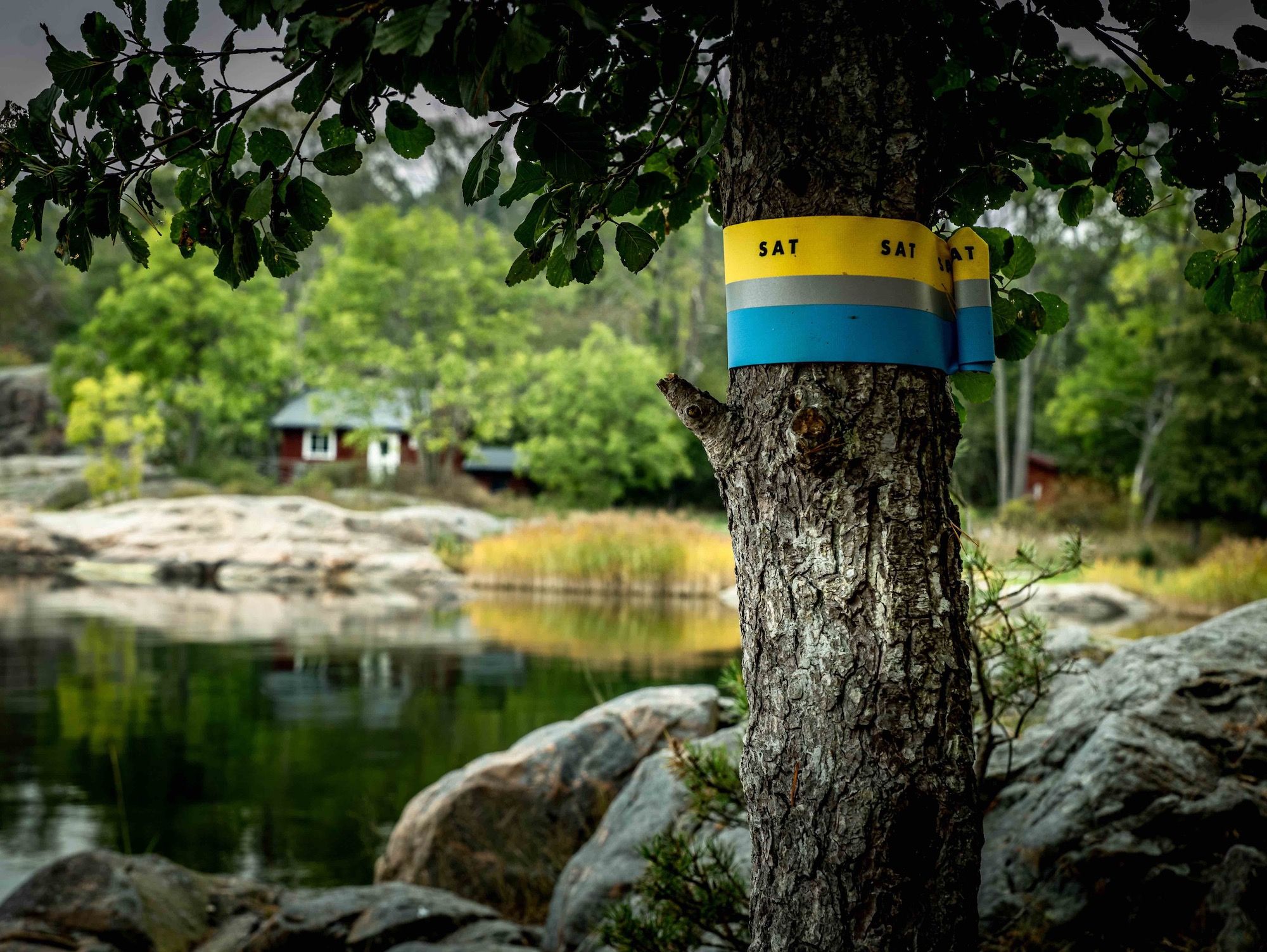 Yellow and blue trail marker on a tree beside a calm, rocky bay with a red cottage on Grinda