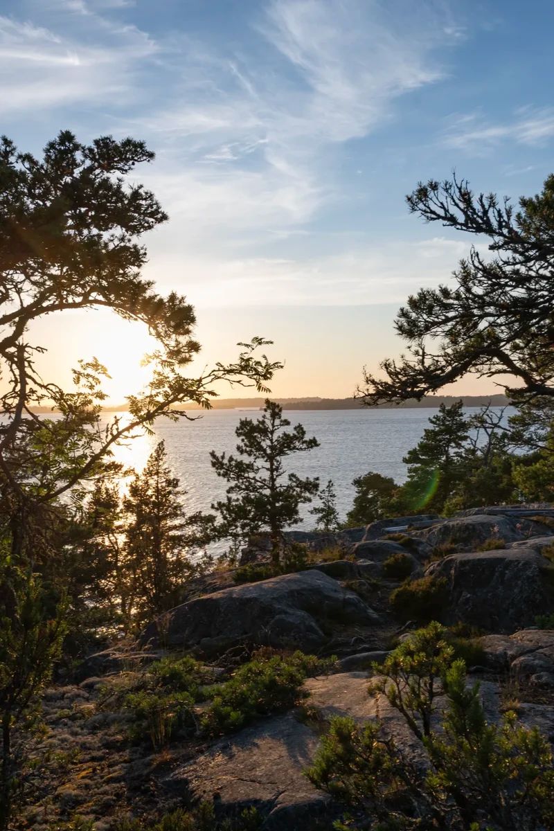 Sun setting behind pine trees on the granite rocks of Idöborg