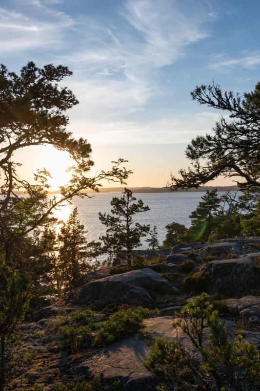 Sun setting behind pine trees on the granite rocks of Idöborg