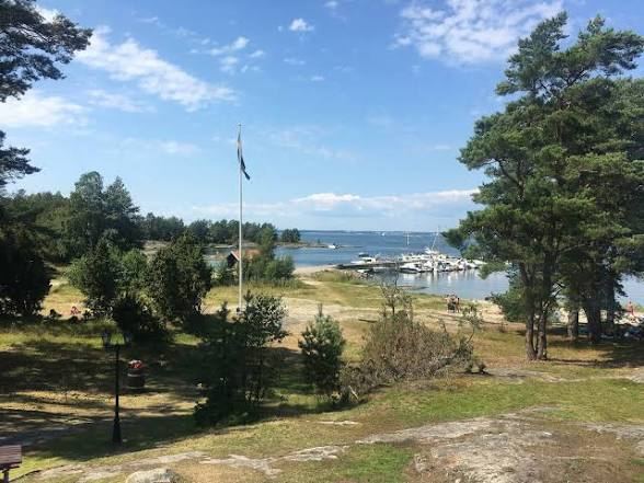 View over pine trees to a harbour with moored boats on Nåttarö in the Stockholm archipelago