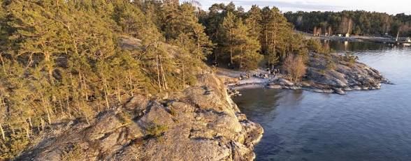 Rocky shoreline and pine forest along a quiet bay on Nåttarö, Stockholm archipelago